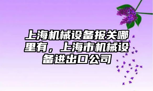 上海機械設備報關哪里有，上海市機械設備進出口公司