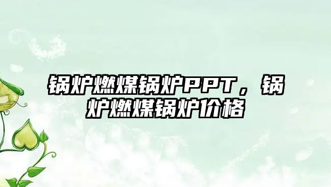 鍋爐燃煤鍋爐PPT，鍋爐燃煤鍋爐價(jià)格