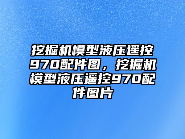 挖掘機(jī)模型液壓遙控970配件圖，挖掘機(jī)模型液壓遙控970配件圖片