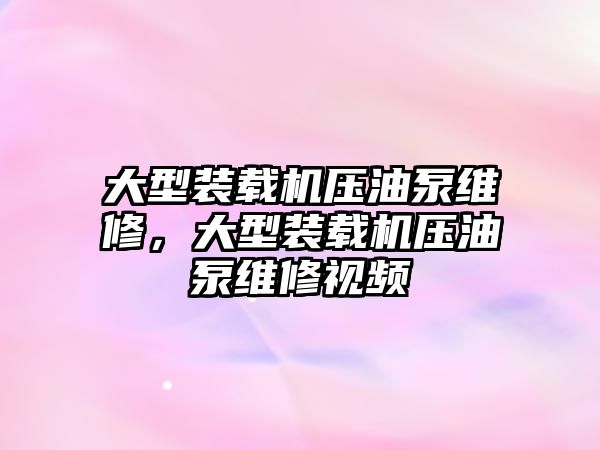 大型裝載機壓油泵維修，大型裝載機壓油泵維修視頻