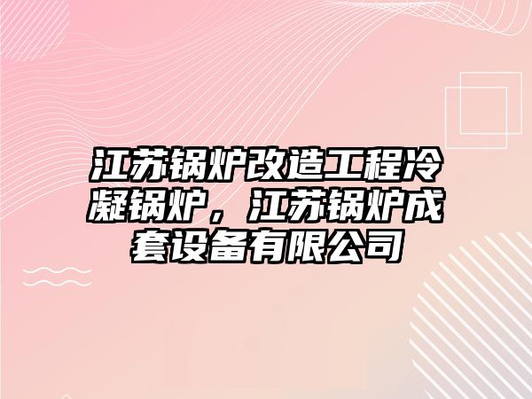 江蘇鍋爐改造工程冷凝鍋爐，江蘇鍋爐成套設備有限公司