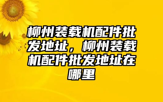 柳州裝載機配件批發地址，柳州裝載機配件批發地址在哪里