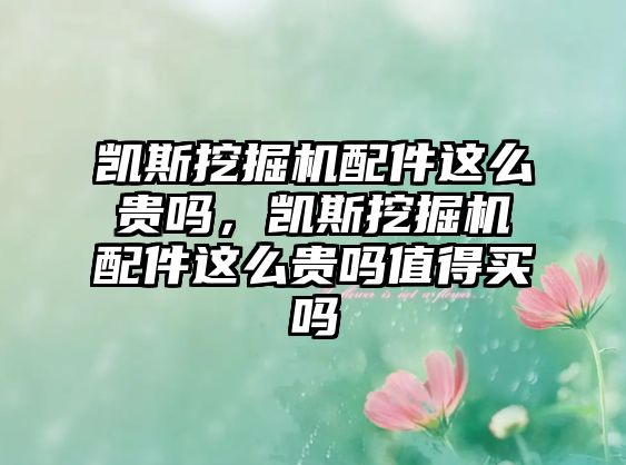 凱斯挖掘機配件這么貴嗎，凱斯挖掘機配件這么貴嗎值得買嗎