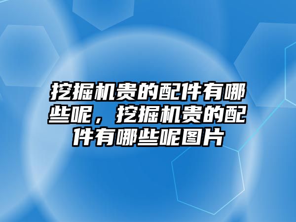 挖掘機(jī)貴的配件有哪些呢，挖掘機(jī)貴的配件有哪些呢圖片