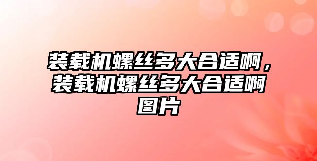 裝載機螺絲多大合適啊，裝載機螺絲多大合適啊圖片