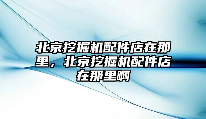 北京挖掘機配件店在那里，北京挖掘機配件店在那里啊