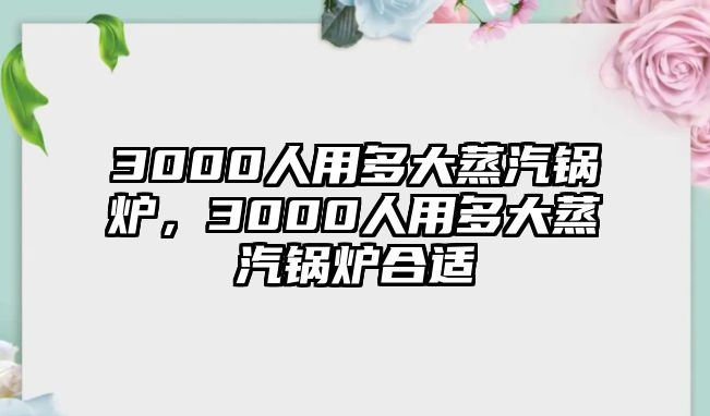 3000人用多大蒸汽鍋爐，3000人用多大蒸汽鍋爐合適