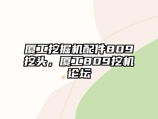 廈工挖掘機配件809挖頭，廈工809挖機論壇