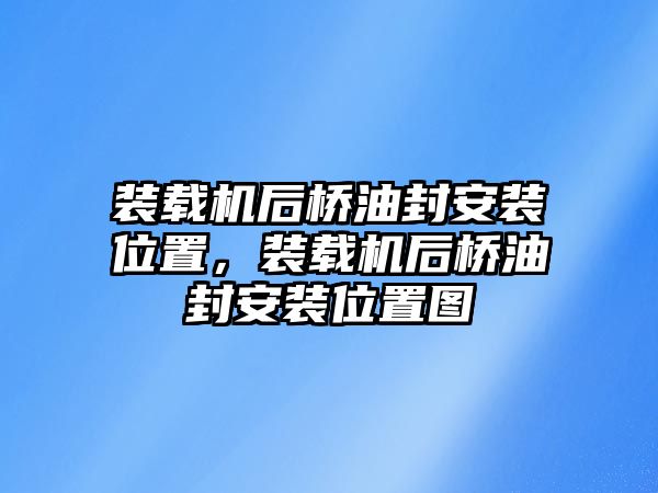 裝載機(jī)后橋油封安裝位置，裝載機(jī)后橋油封安裝位置圖