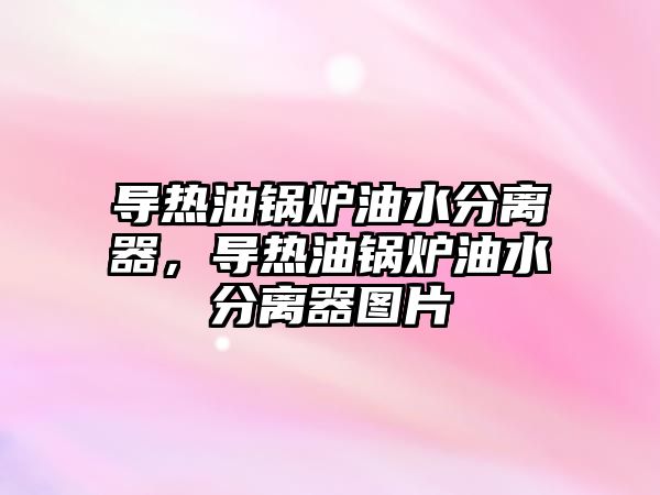 導熱油鍋爐油水分離器，導熱油鍋爐油水分離器圖片