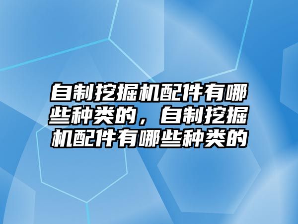 自制挖掘機(jī)配件有哪些種類的，自制挖掘機(jī)配件有哪些種類的