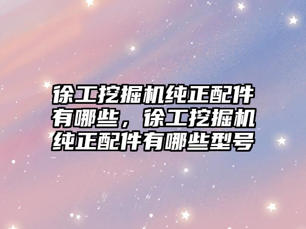 徐工挖掘機純正配件有哪些，徐工挖掘機純正配件有哪些型號