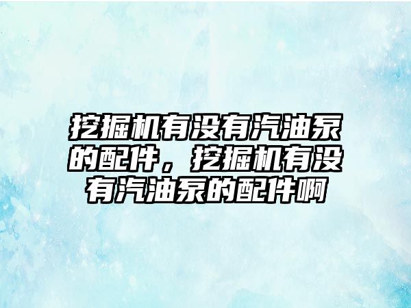 挖掘機有沒有汽油泵的配件，挖掘機有沒有汽油泵的配件啊