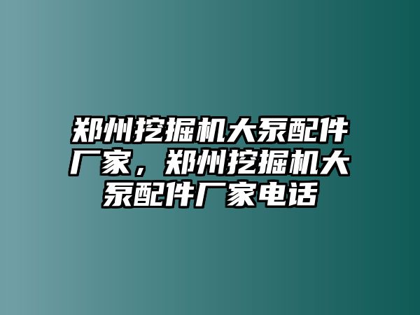 鄭州挖掘機(jī)大泵配件廠(chǎng)家，鄭州挖掘機(jī)大泵配件廠(chǎng)家電話(huà)