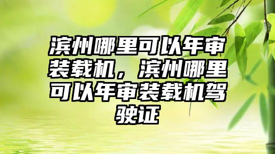 濱州哪里可以年審裝載機(jī)，濱州哪里可以年審裝載機(jī)駕駛證