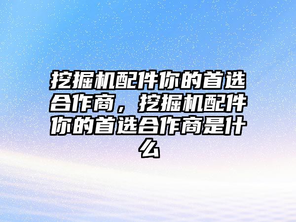 挖掘機配件你的首選合作商，挖掘機配件你的首選合作商是什么