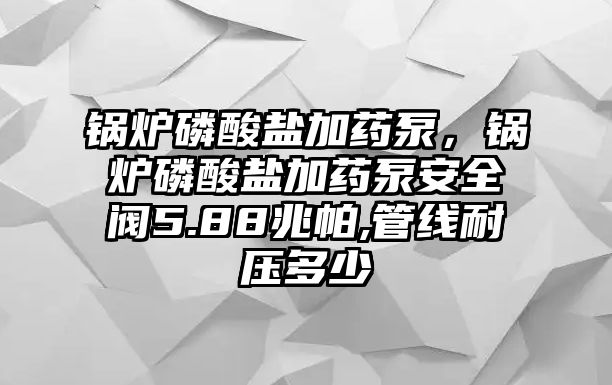 鍋爐磷酸鹽加藥泵，鍋爐磷酸鹽加藥泵安全閥5.88兆帕,管線耐壓多少