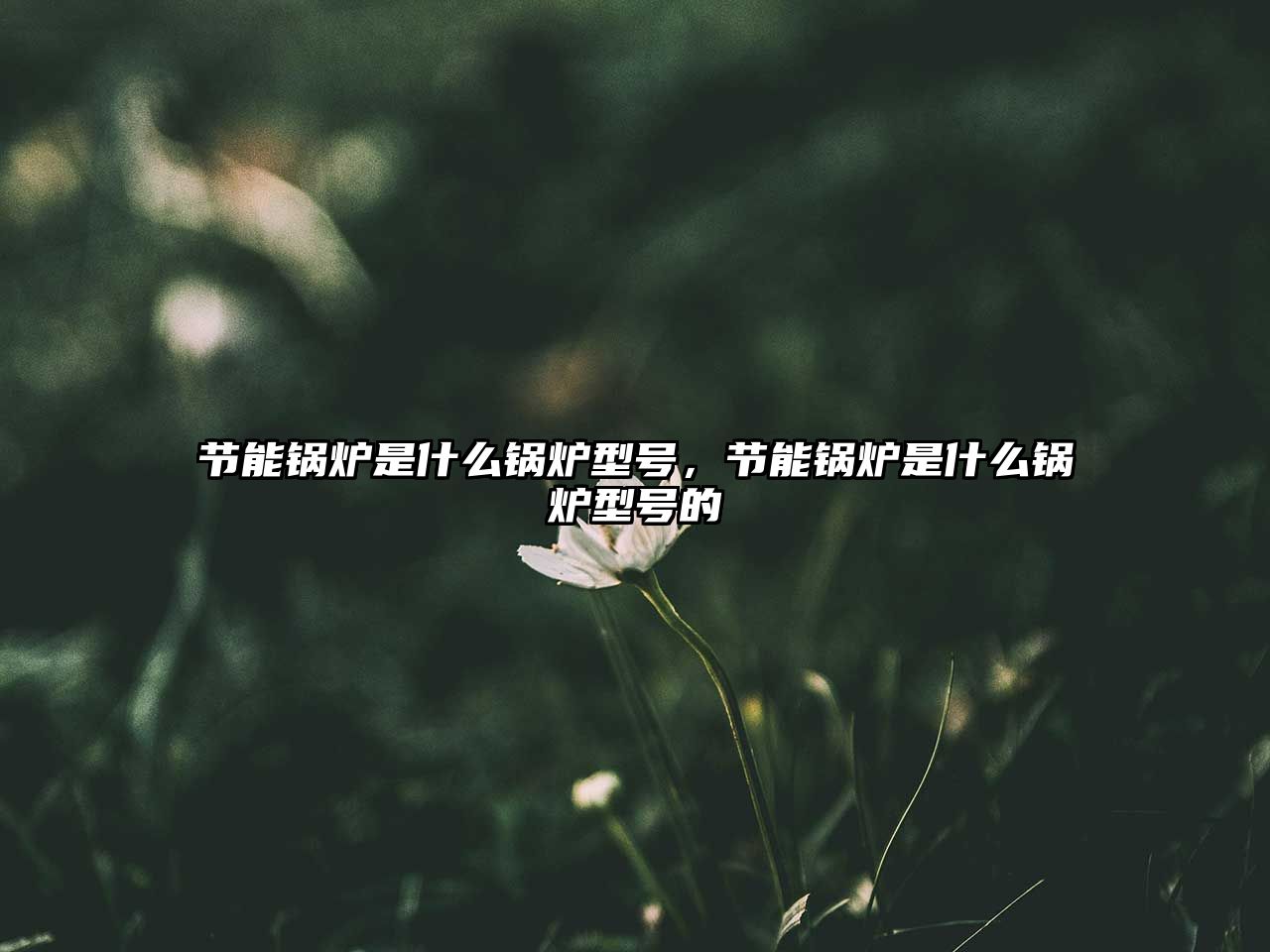 節能鍋爐是什么鍋爐型號，節能鍋爐是什么鍋爐型號的