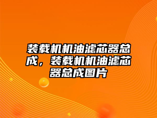 裝載機機油濾芯器總成，裝載機機油濾芯器總成圖片