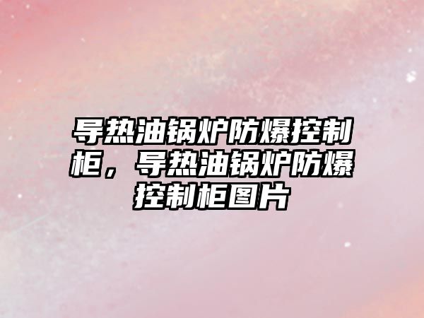 導熱油鍋爐防爆控制柜，導熱油鍋爐防爆控制柜圖片