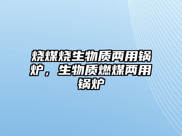 燒煤燒生物質兩用鍋爐，生物質燃煤兩用鍋爐