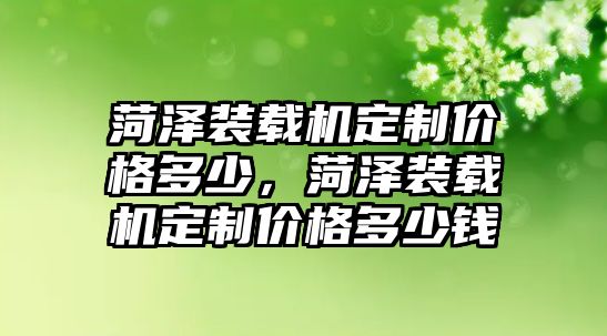 菏澤裝載機定制價格多少，菏澤裝載機定制價格多少錢