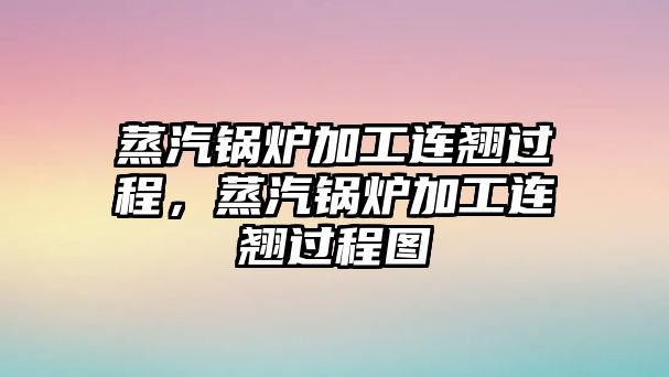 蒸汽鍋爐加工連翹過程，蒸汽鍋爐加工連翹過程圖