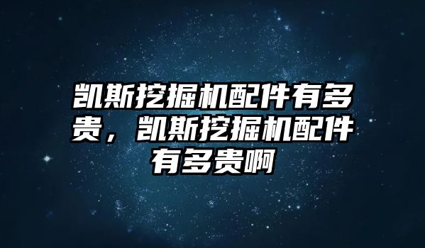 凱斯挖掘機配件有多貴，凱斯挖掘機配件有多貴啊