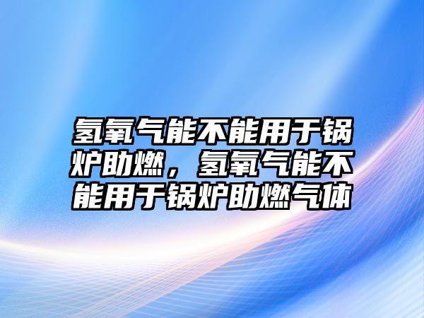 氫氧氣能不能用于鍋爐助燃，氫氧氣能不能用于鍋爐助燃氣體