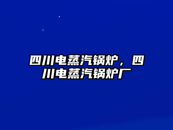 四川電蒸汽鍋爐，四川電蒸汽鍋爐廠