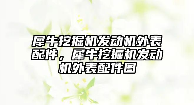 犀牛挖掘機發動機外表配件，犀牛挖掘機發動機外表配件圖