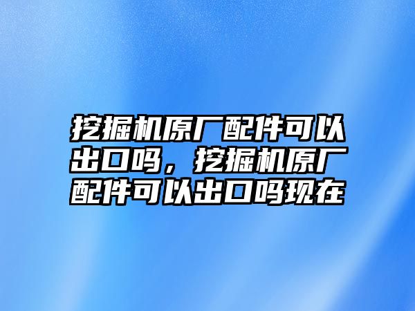 挖掘機原廠配件可以出口嗎，挖掘機原廠配件可以出口嗎現在