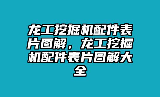 龍工挖掘機配件表片圖解，龍工挖掘機配件表片圖解大全