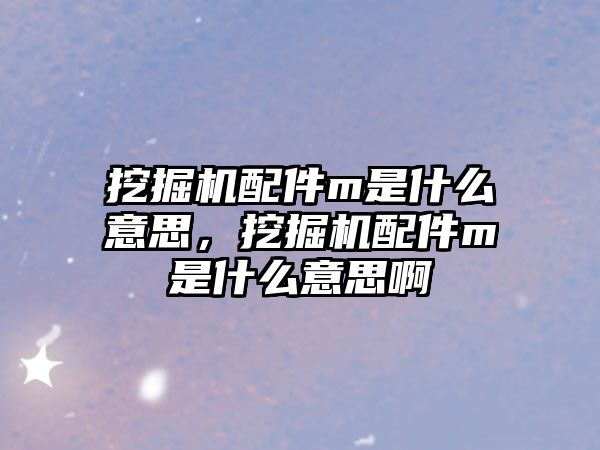 挖掘機配件m是什么意思，挖掘機配件m是什么意思啊