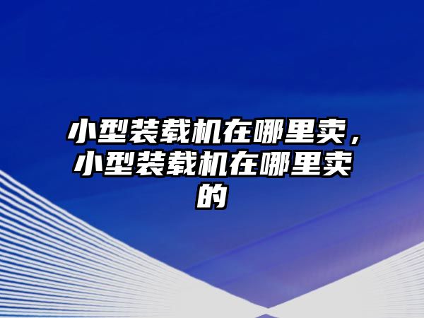 小型裝載機(jī)在哪里賣，小型裝載機(jī)在哪里賣的