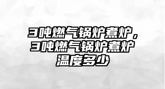 3噸燃?xì)忮仩t煮爐，3噸燃?xì)忮仩t煮爐溫度多少