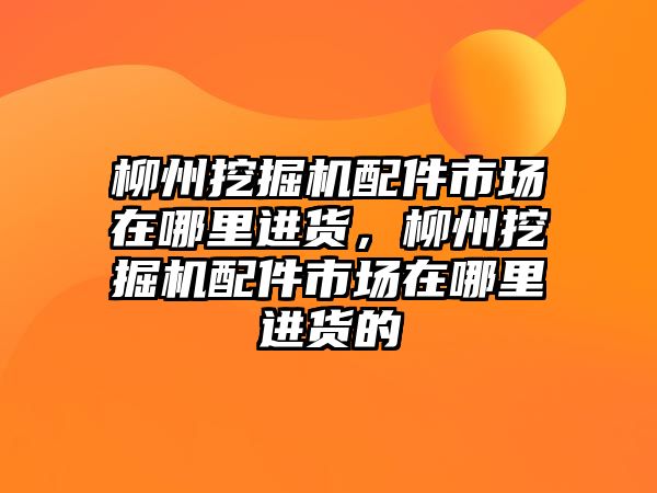 柳州挖掘機配件市場在哪里進貨，柳州挖掘機配件市場在哪里進貨的