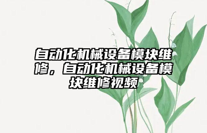 自動化機械設備模塊維修，自動化機械設備模塊維修視頻