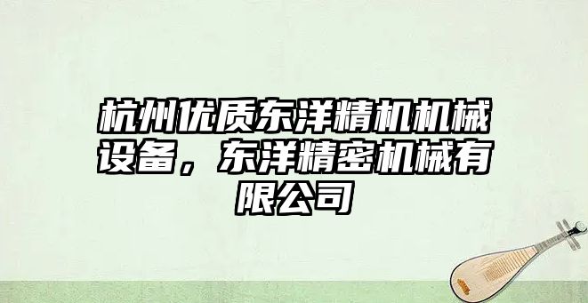 杭州優質東洋精機機械設備，東洋精密機械有限公司