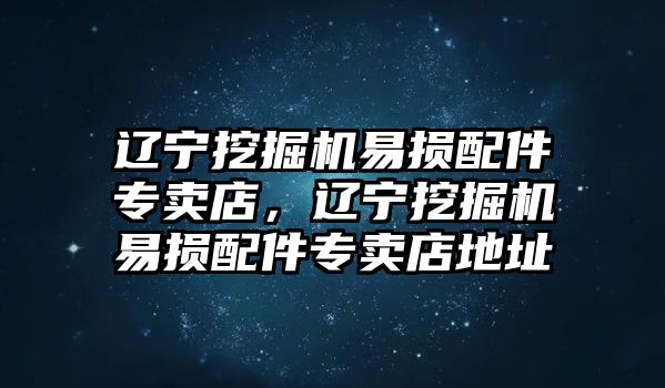 遼寧挖掘機易損配件專賣店，遼寧挖掘機易損配件專賣店地址