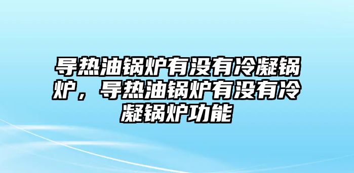 導熱油鍋爐有沒有冷凝鍋爐，導熱油鍋爐有沒有冷凝鍋爐功能