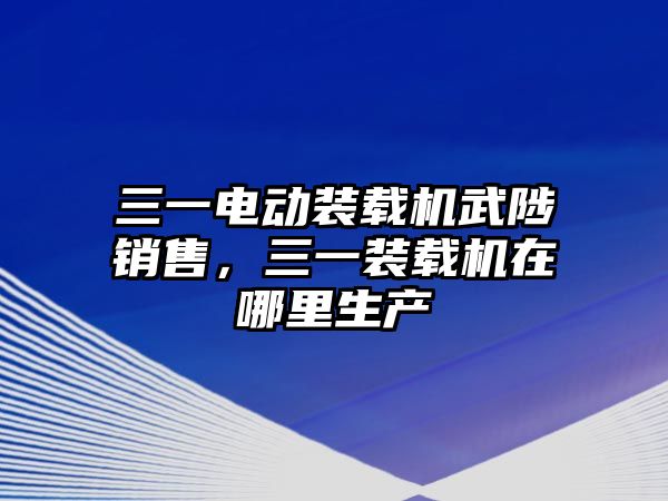 三一電動裝載機武陟銷售，三一裝載機在哪里生產