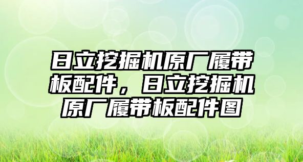 日立挖掘機(jī)原廠履帶板配件，日立挖掘機(jī)原廠履帶板配件圖