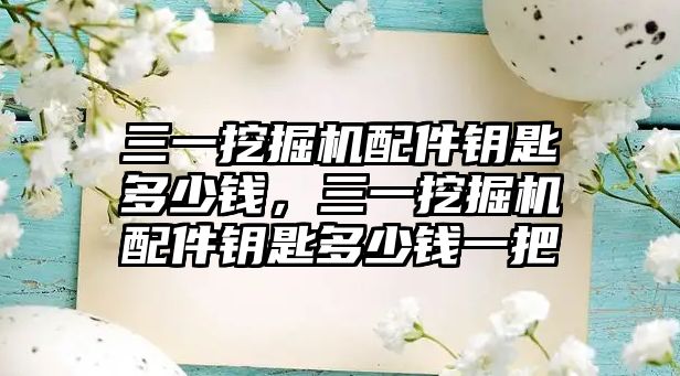 三一挖掘機配件鑰匙多少錢，三一挖掘機配件鑰匙多少錢一把