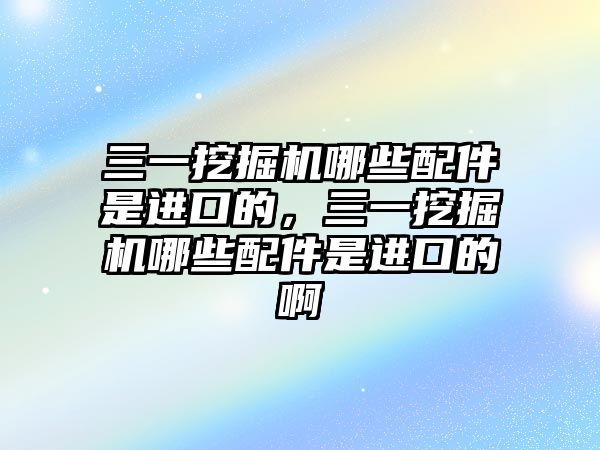 三一挖掘機哪些配件是進口的，三一挖掘機哪些配件是進口的啊