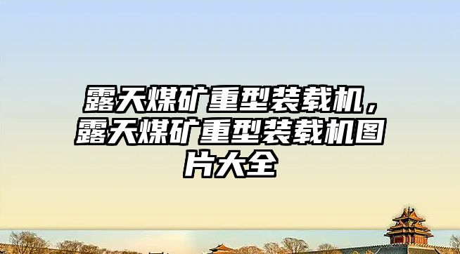 露天煤礦重型裝載機，露天煤礦重型裝載機圖片大全