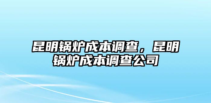 昆明鍋爐成本調(diào)查，昆明鍋爐成本調(diào)查公司