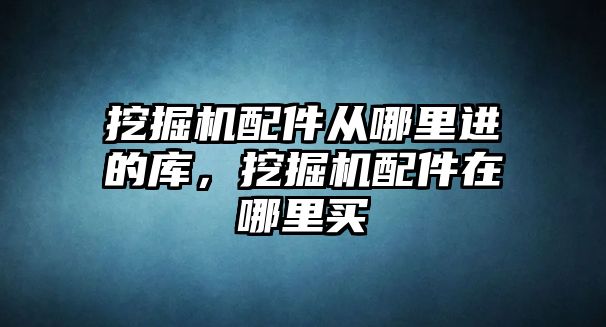 挖掘機配件從哪里進的庫，挖掘機配件在哪里買