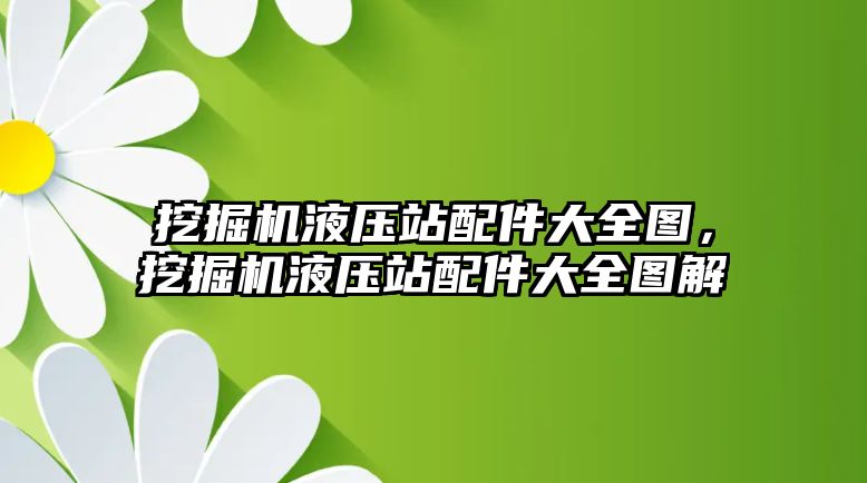 挖掘機液壓站配件大全圖，挖掘機液壓站配件大全圖解