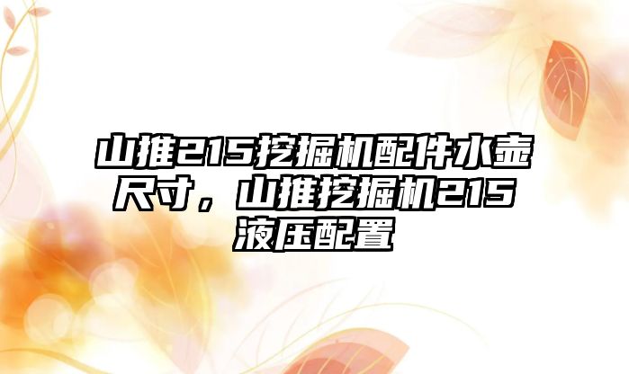 山推215挖掘機配件水壺尺寸，山推挖掘機215液壓配置